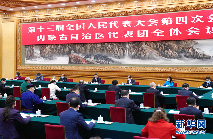 3月5日，中共中央總書記、國家主席、中央軍委主席習近平參加十三屆全國人大四次會議內(nèi)蒙古代表團的審議。新華社記者 謝環(huán)馳 攝