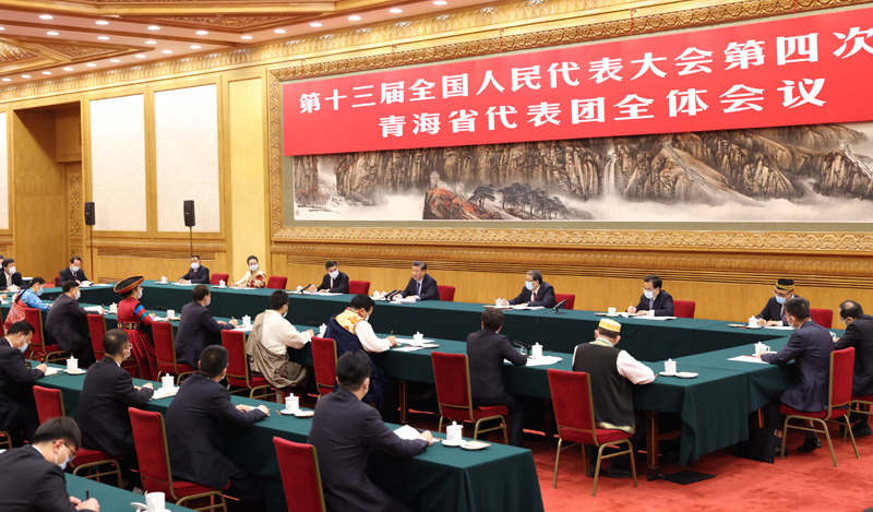 3月7日，中共中央總書記、國(guó)家主席、中央軍委主席習(xí)近平參加十三屆全國(guó)人大四次會(huì)議青海代表團(tuán)的審議。新華社記者 黃敬文 攝